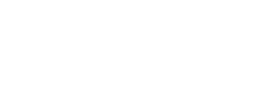 Bach Inc.